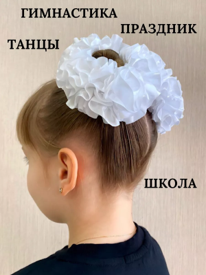 02d053ca-2bce-4f28-93dd-19cf3c0df441