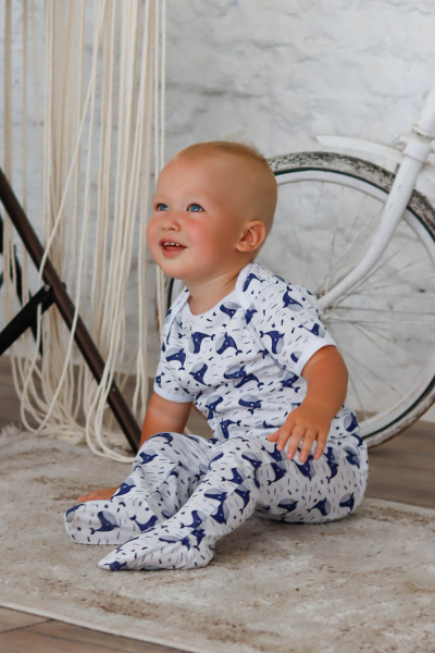 ba466152-c429-40ac-bd48-d2031e8678e1